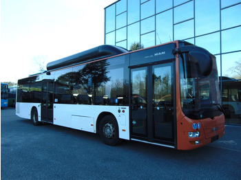 Bus urbain MAN Lion's City