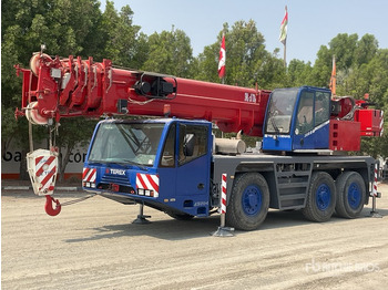Grue tout-terrain DEMAG