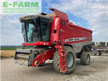 Moissonneuse-batteuse MASSEY FERGUSON