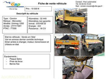 Camion UNIMOG
