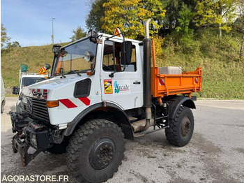Camion UNIMOG