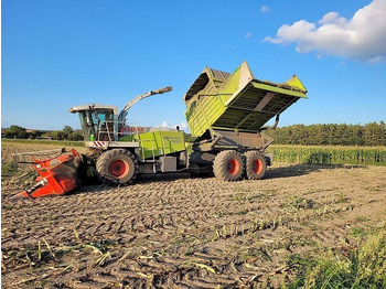 Machine agricole CLAAS Jaguar