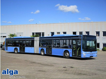Bus articulé MAN Lion's City