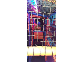 Bus à impériale Daf Spacebus: photos 4 Bus à impériale Daf Spacebus: photos 4