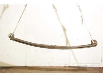 Suspension du ressort DAF XF