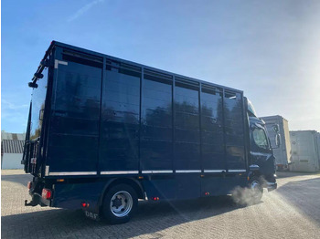 Camion bétaillère DAF LF 280: photos 3