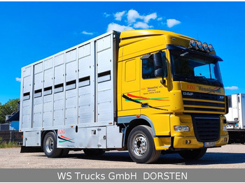 Camion bétaillère DAF XF410 Menke Doppelstock: photos 3 Camion bétaillère DAF XF410 Menke Doppelstock: photos 3