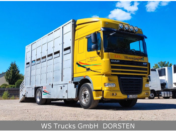 Camion bétaillère DAF XF410 Menke Doppelstock: photos 2 Camion bétaillère DAF XF410 Menke Doppelstock: photos 2
