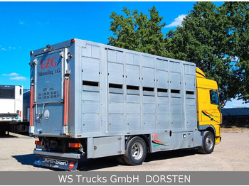 Camion bétaillère DAF XF410 Menke Doppelstock: photos 5 Camion bétaillère DAF XF410 Menke Doppelstock: photos 5