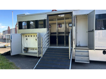 Camion chevaux MAN TGM 15.250 5 horses and living brand Krismar: photos 3