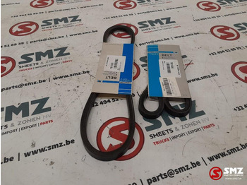 Courroie pour Camion neuf THERMOKING Set van 2 waterpompriemen Thermoking: photos 2 Courroie pour Camion neuf THERMOKING Set van 2 waterpompriemen Thermoking: photos 2