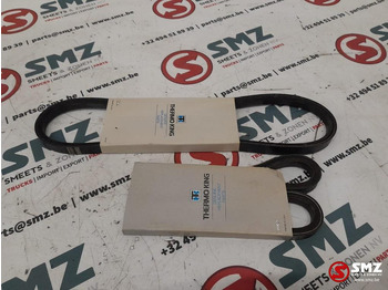 Courroie pour Camion neuf THERMOKING Set van 2 waterpompriemen Thermoking: photos 3 Courroie pour Camion neuf THERMOKING Set van 2 waterpompriemen Thermoking: photos 3