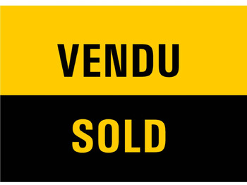 Pelle sur chenille CATERPILLAR 305E2