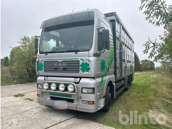 Camion bétaillère MAN TGA