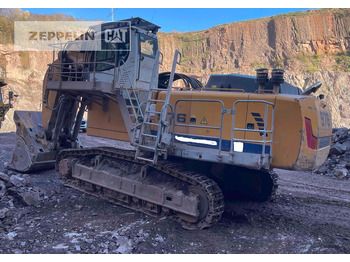 Pelle sur chenille LIEBHERR