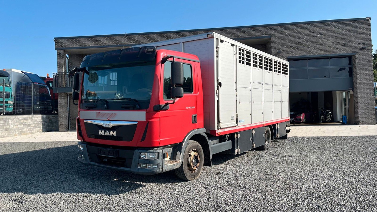 MAN TGL 10.220 Viehtransporter Rampe Trennwände - Camion chevaux: photos 2 MAN TGL 10.220 Viehtransporter Rampe Trennwände - Camion chevaux: photos 2