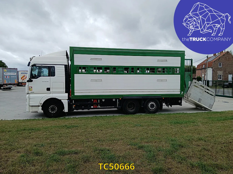 MAN TGX 460 - Camion bétaillère: photos 2 MAN TGX 460 - Camion bétaillère: photos 2