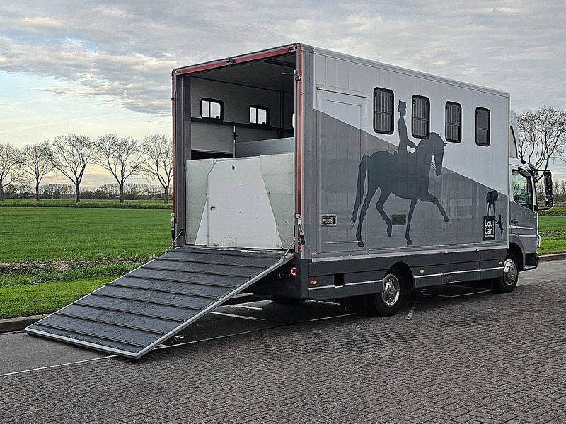 Mercedes-Benz ATEGO 818 - Camion: photos 3 Mercedes-Benz ATEGO 818 - Camion: photos 3