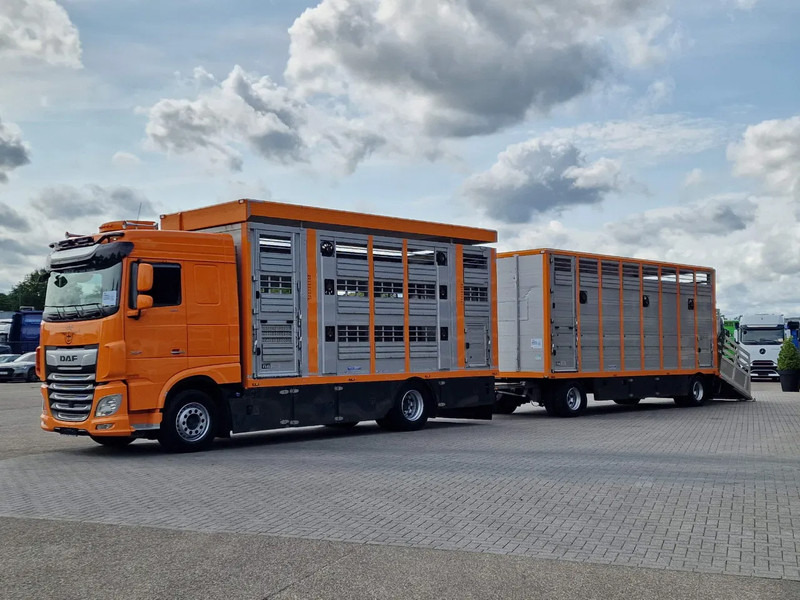 DAF XF 530 4x2 - Livestock Menke + 2018 Menke trailer 2 deck - Water + Ventilation - Lifting roof - Camion bétaillère: photos 3 DAF XF 530 4x2 - Livestock Menke + 2018 Menke trailer 2 deck - Water + Ventilation - Lifting roof - Camion bétaillère: photos 3