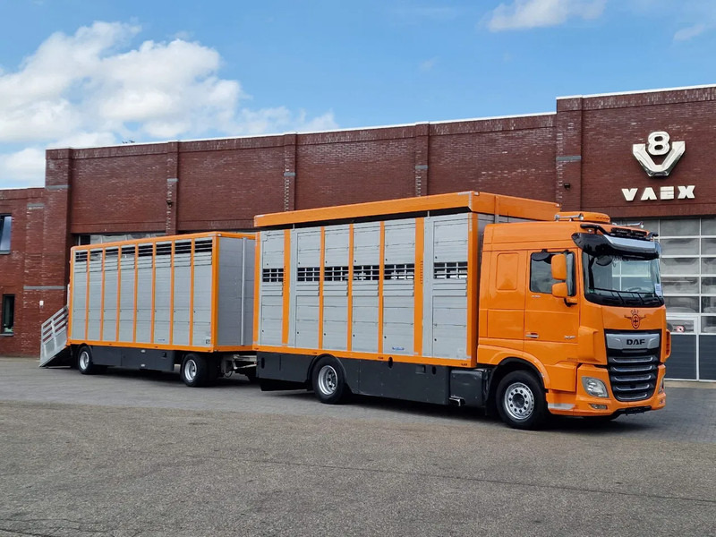 DAF XF 530 4x2 - Livestock Menke + 2018 Menke trailer 2 deck - Water + Ventilation - Lifting roof - Camion bétaillère: photos 1 DAF XF 530 4x2 - Livestock Menke + 2018 Menke trailer 2 deck - Water + Ventilation - Lifting roof - Camion bétaillère: photos 1