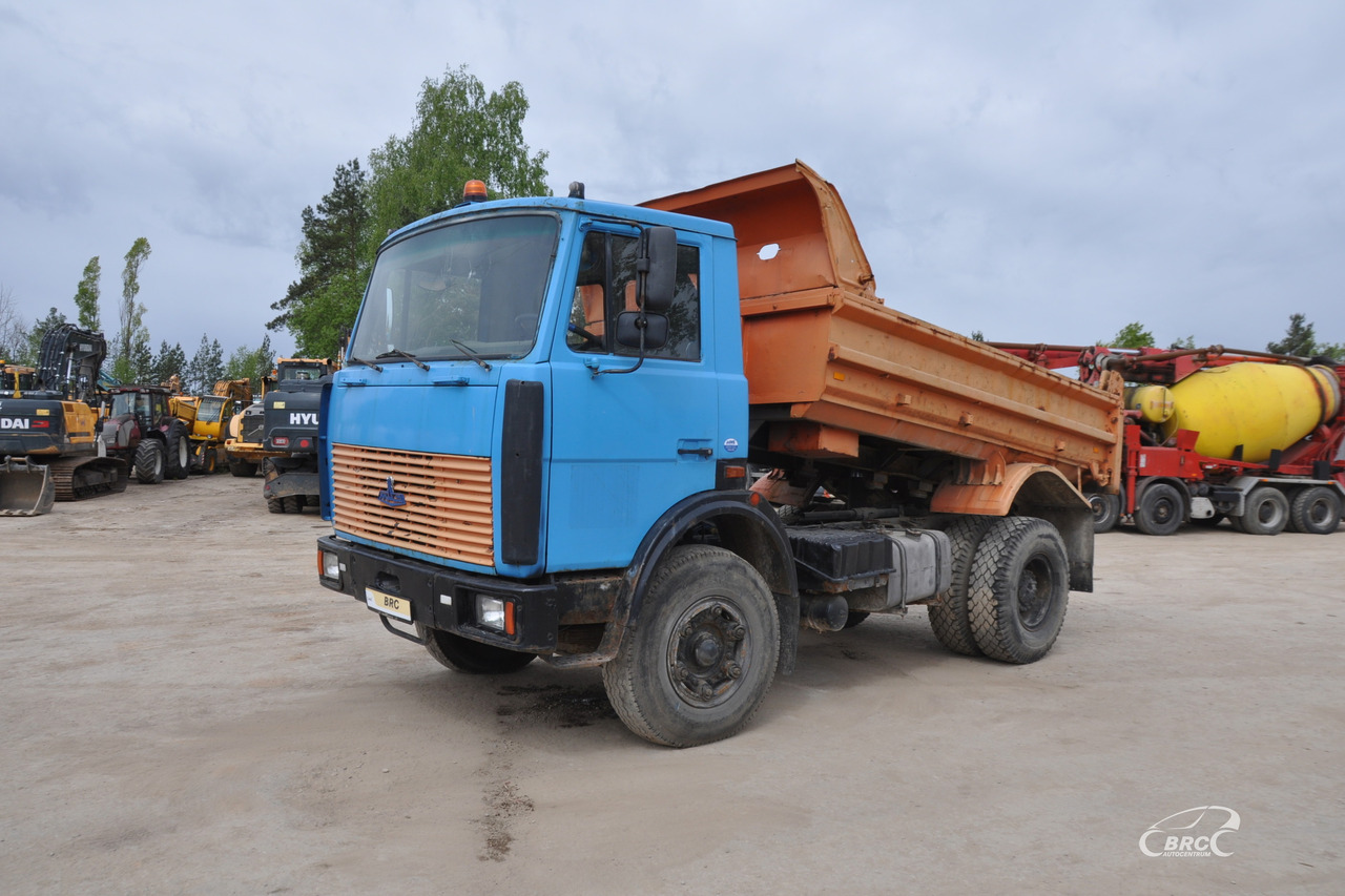 MAZ 5551 - Camion benne: photos 1 MAZ 5551 - Camion benne: photos 1