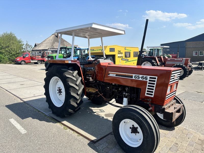 Fiat 65-66 - Tracteur agricole: photos 3 Fiat 65-66 - Tracteur agricole: photos 3