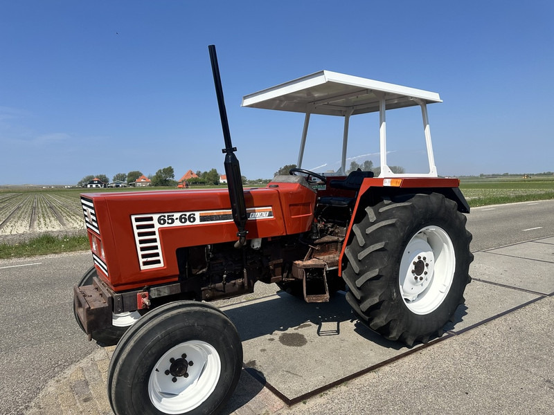 Fiat 65-66 - Tracteur agricole: photos 1 Fiat 65-66 - Tracteur agricole: photos 1