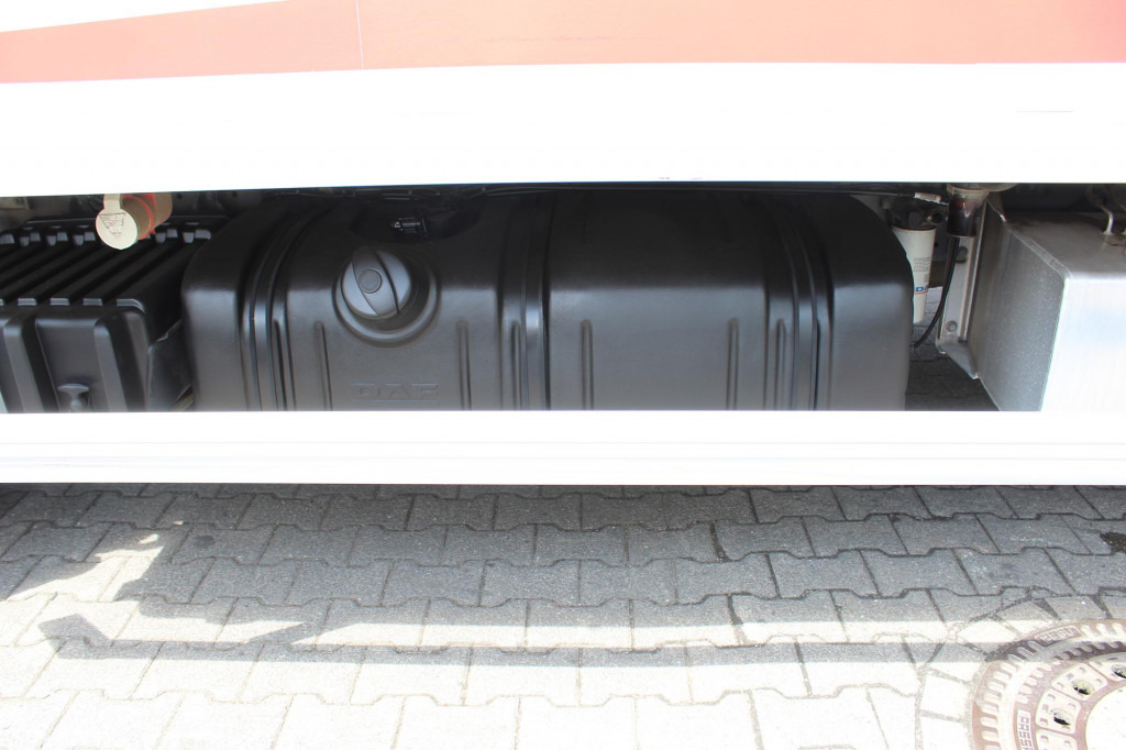 Daf LF 260 E6 Carrier Supra 550 Strom Tür LBW - Camion frigorifique: photos 4 Daf LF 260 E6 Carrier Supra 550 Strom Tür LBW - Camion frigorifique: photos 4