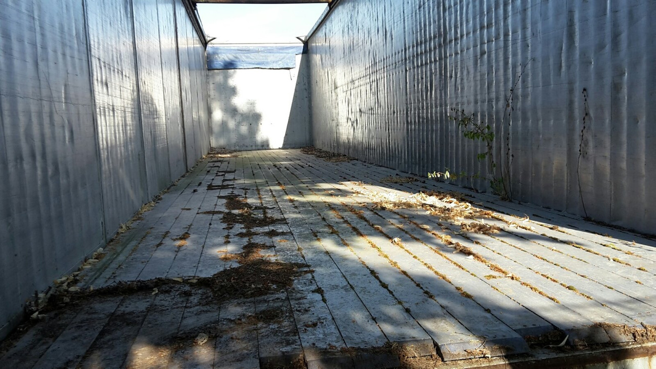 Reisch RSBS-35/24 PV RSBS-35/24 PV Walkingfloor ca. 86m³, Alu - Semi-remorque à fond mouvant: photos 2 Reisch RSBS-35/24 PV RSBS-35/24 PV Walkingfloor ca. 86m³, Alu - Semi-remorque à fond mouvant: photos 2