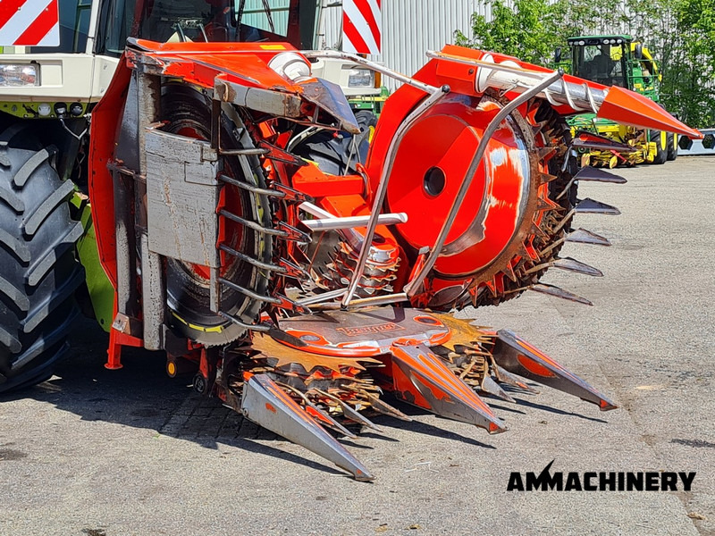 Cueilleur de maïs pour transport de la nourriture Kemper 4500 fits CL rotary corn header: photos 11
