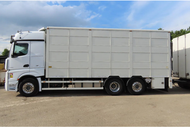 Mercedes-Benz Actros 2551 BERDEX 3 decks, All options + Berdex 12/ 2007 - Camion bétaillère: photos 4 Mercedes-Benz Actros 2551 BERDEX 3 decks, All options + Berdex 12/ 2007 - Camion bétaillère: photos 4