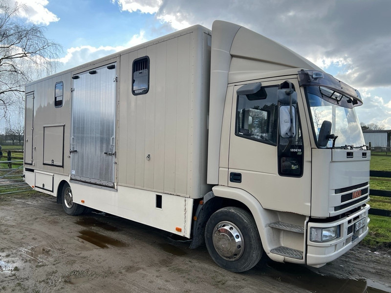 Iveco 120E18 - 3 HORSES - MANUAL - STEEL SUSPENSION - Camion chevaux: photos 2 Iveco 120E18 - 3 HORSES - MANUAL - STEEL SUSPENSION - Camion chevaux: photos 2