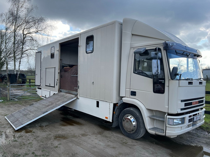 Iveco 120E18 - 3 HORSES - MANUAL - STEEL SUSPENSION - Camion chevaux: photos 1 Iveco 120E18 - 3 HORSES - MANUAL - STEEL SUSPENSION - Camion chevaux: photos 1