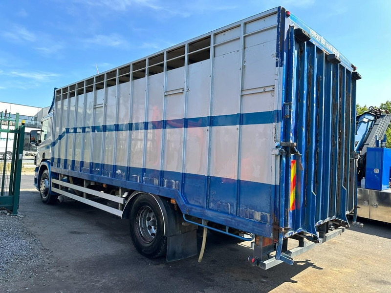 Camion bétaillère Scania P310 4x2 LIVESTOCK / VEEWAGEN / TIERTRANSPORT / BETAILLERE - ALU BOX 7m - MANUAL - A/C - BELGIAN TRUCK: photos 7 Camion bétaillère Scania P310 4x2 LIVESTOCK / VEEWAGEN / TIERTRANSPORT / BETAILLERE - ALU BOX 7m - MANUAL - A/C - BELGIAN TRUCK: photos 7