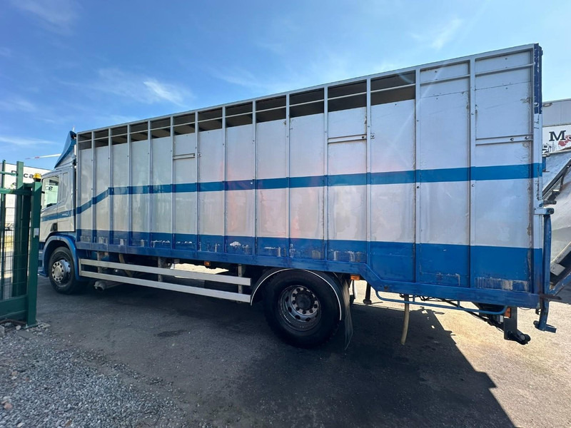 Camion bétaillère Scania P310 4x2 LIVESTOCK / VEEWAGEN / TIERTRANSPORT / BETAILLERE - ALU BOX 7m - MANUAL - A/C - BELGIAN TRUCK: photos 17 Camion bétaillère Scania P310 4x2 LIVESTOCK / VEEWAGEN / TIERTRANSPORT / BETAILLERE - ALU BOX 7m - MANUAL - A/C - BELGIAN TRUCK: photos 17