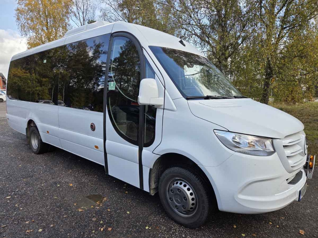 MERCEDES SPRINTER ILESBUS 516CDI - Minibus, Transport de personnes: photos 1 MERCEDES SPRINTER ILESBUS 516CDI - Minibus, Transport de personnes: photos 1