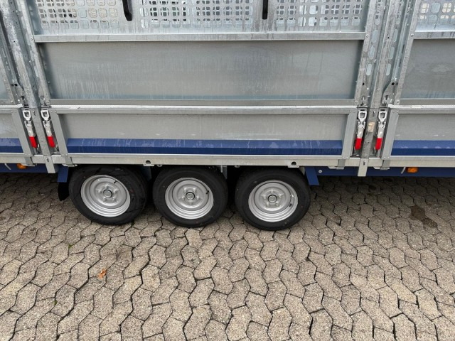 Brian James Cargo Connect Universalanhänger 476-6022-35-3-12, 6000 x 2250 x 300 mm, 3,5 to., 12 Zoll - Remorque voiture: photos 4 Brian James Cargo Connect Universalanhänger 476-6022-35-3-12, 6000 x 2250 x 300 mm, 3,5 to., 12 Zoll - Remorque voiture: photos 4