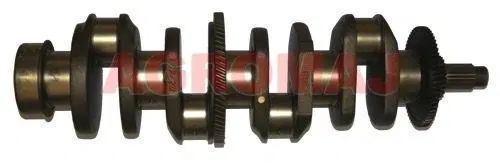 VALMET - Wał Korbowy 420DR 420DRS - Vilebrequin pour Machine agricole: photos 1 VALMET - Wał Korbowy 420DR 420DRS - Vilebrequin pour Machine agricole: photos 1