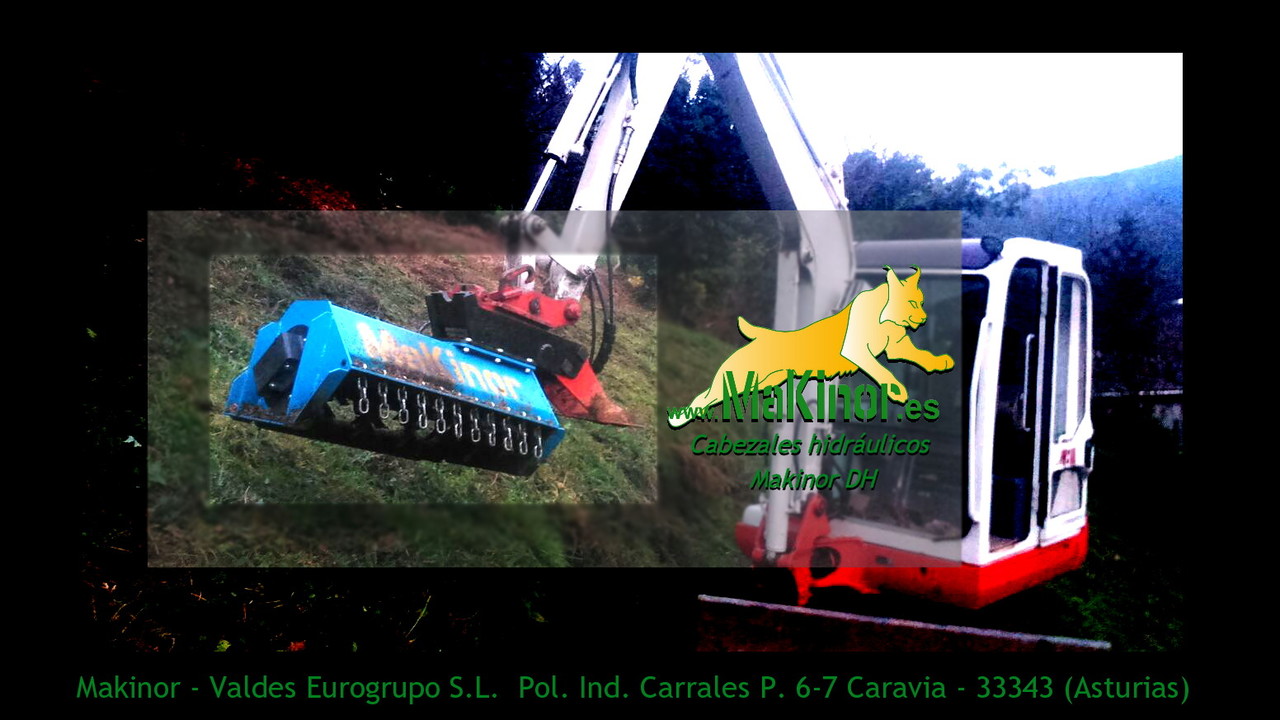 Makinor DH - Broyeur forestier: photos 4 Makinor DH - Broyeur forestier: photos 4