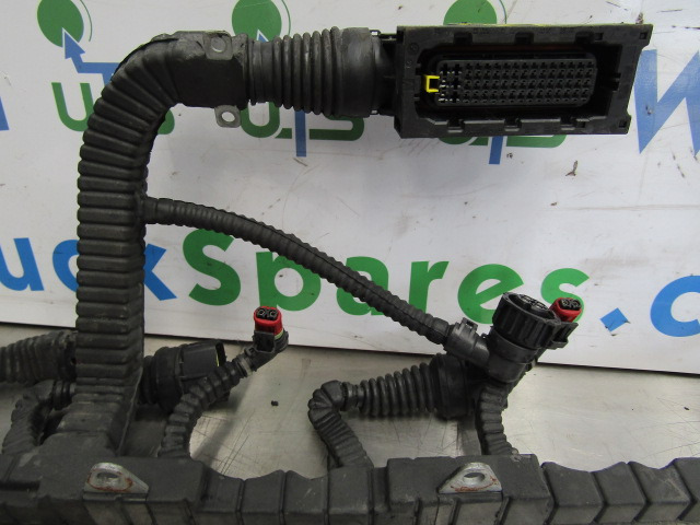 DAF XF 105 PACCAR INJECTOR/ECU HARNESS P/NO 1696501/00 - Système électrique pour Camion: photos 2 DAF XF 105 PACCAR INJECTOR/ECU HARNESS P/NO 1696501/00 - Système électrique pour Camion: photos 2