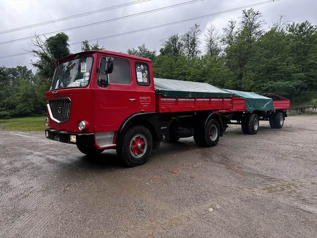 Lancia Esadelta C402 020 - Camion plateau: photos 1 Lancia Esadelta C402 020 - Camion plateau: photos 1