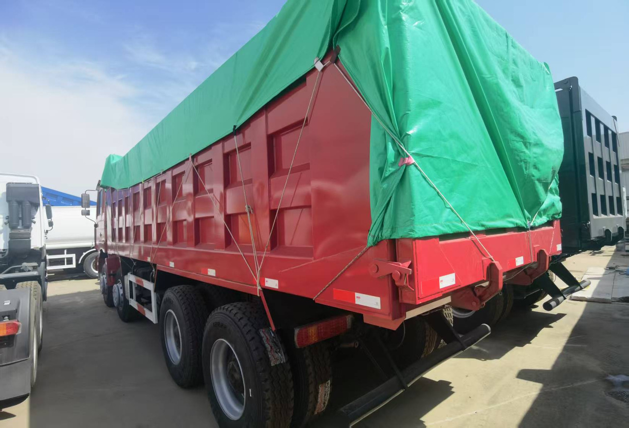 Camion benne Shacman F3000 8*4 Dump truck: photos 7