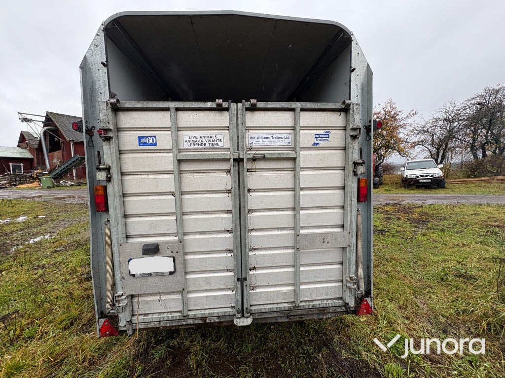 Boskapssläp - Ifor Williams - Remorque bétaillère: photos 5 Boskapssläp - Ifor Williams - Remorque bétaillère: photos 5