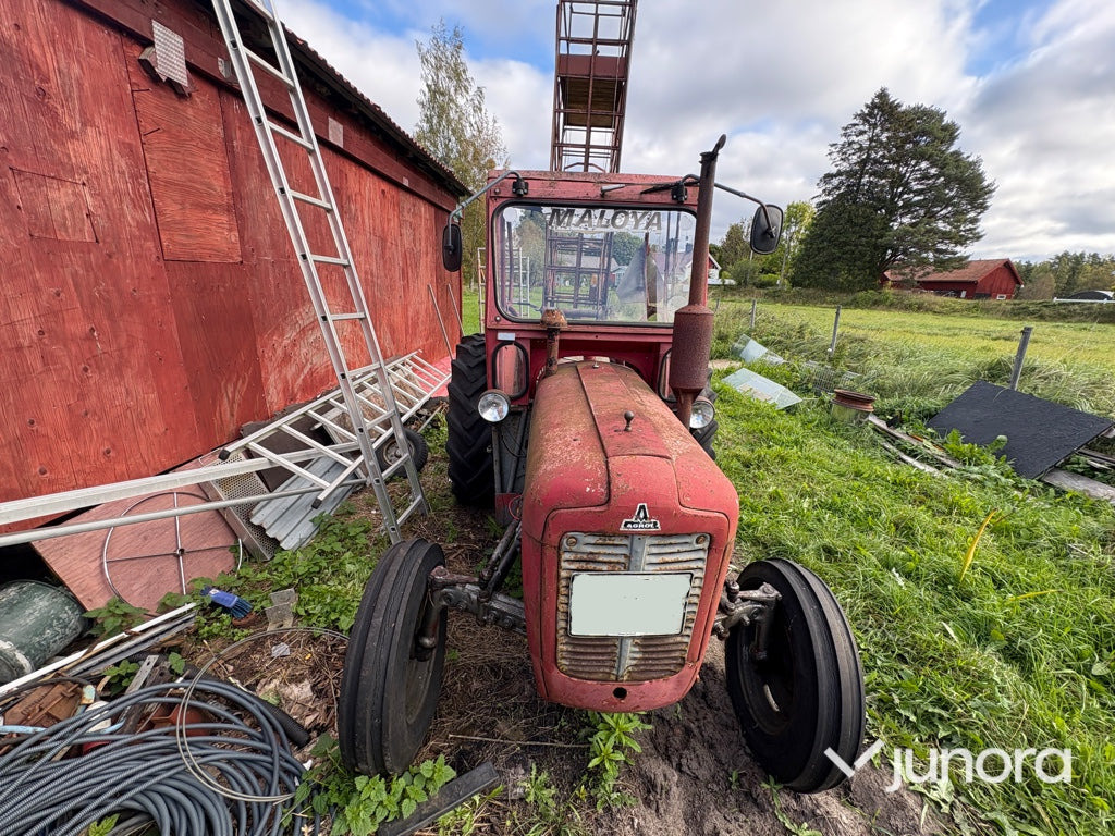 Massey Ferguson 35 Stand – 1960 årsmodell, klassisk dieseltraktor - Tracteur agricole: photos 2 Massey Ferguson 35 Stand – 1960 årsmodell, klassisk dieseltraktor - Tracteur agricole: photos 2
