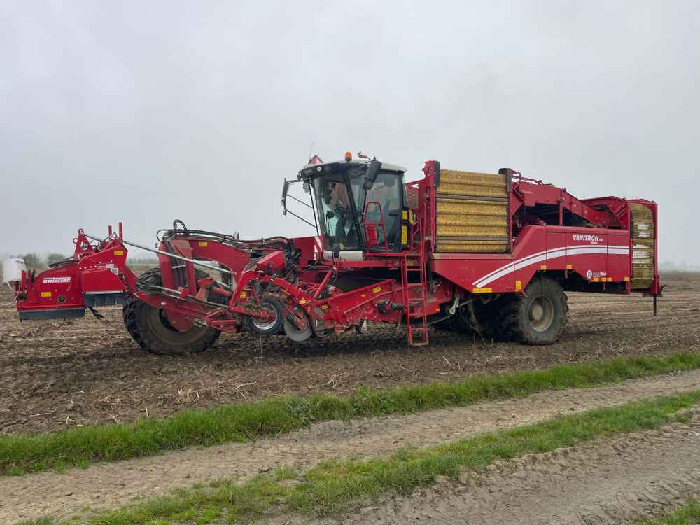 Grimme VARITRON 270 RS VARIO MULTISEP - Matériel de récolte: photos 1 Grimme VARITRON 270 RS VARIO MULTISEP - Matériel de récolte: photos 1