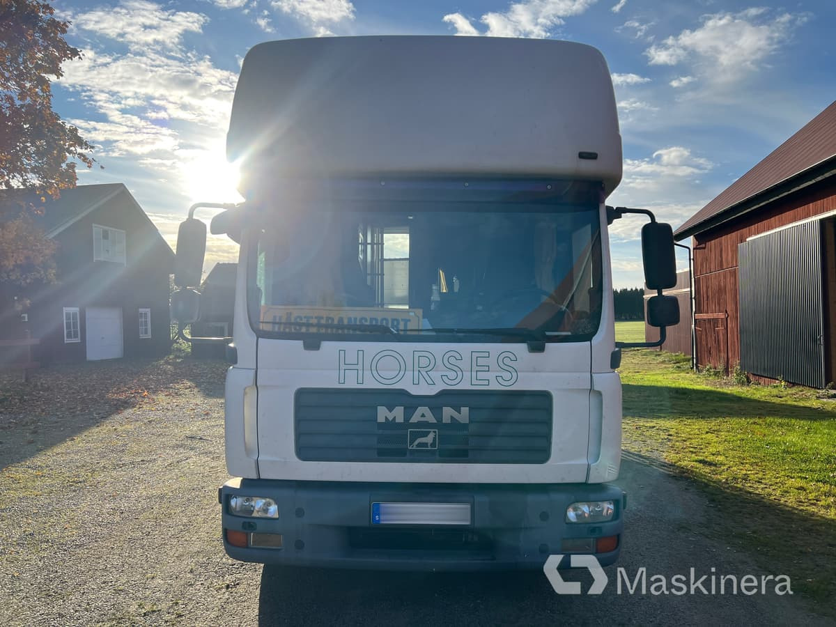 Hästlastbil MAN TGL 10.210 4X2 BL - Camion chevaux: photos 2 Hästlastbil MAN TGL 10.210 4X2 BL - Camion chevaux: photos 2