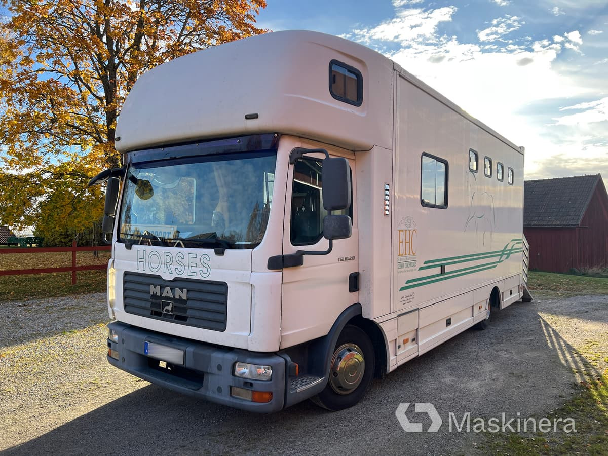 Hästlastbil MAN TGL 10.210 4X2 BL - Camion chevaux: photos 1 Hästlastbil MAN TGL 10.210 4X2 BL - Camion chevaux: photos 1