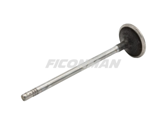 Iveco Daily Fiat Ducato F1C Intake Valve 504072531 504238926 - Valve pour Véhicule utilitaire: photos 1 Iveco Daily Fiat Ducato F1C Intake Valve 504072531 504238926 - Valve pour Véhicule utilitaire: photos 1