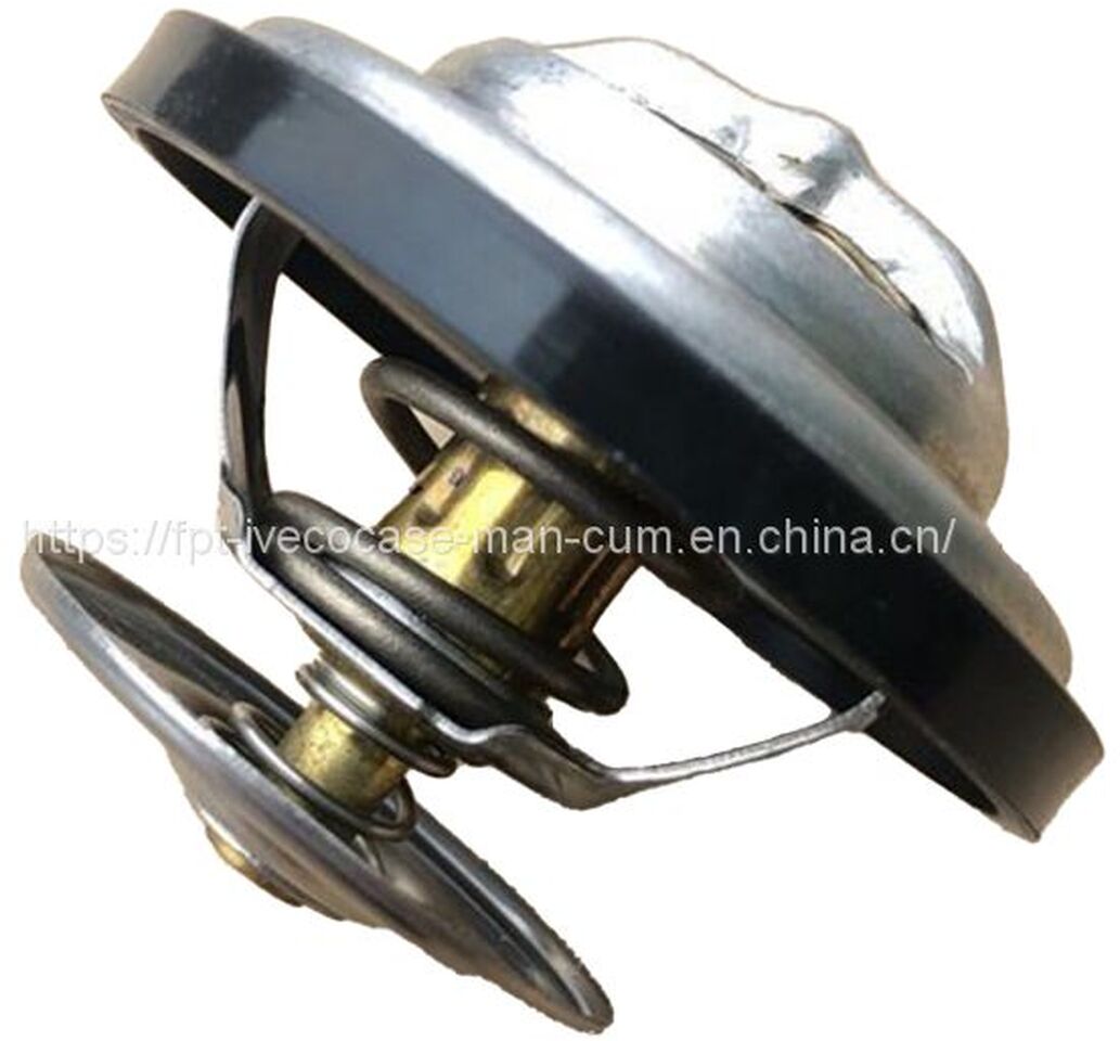 MAN D2066 Thermostat 83 ℃ ~ 95 ℃ 06402-6005 - Thermostat: photos 1 MAN D2066 Thermostat 83 ℃ ~ 95 ℃ 06402-6005 - Thermostat: photos 1