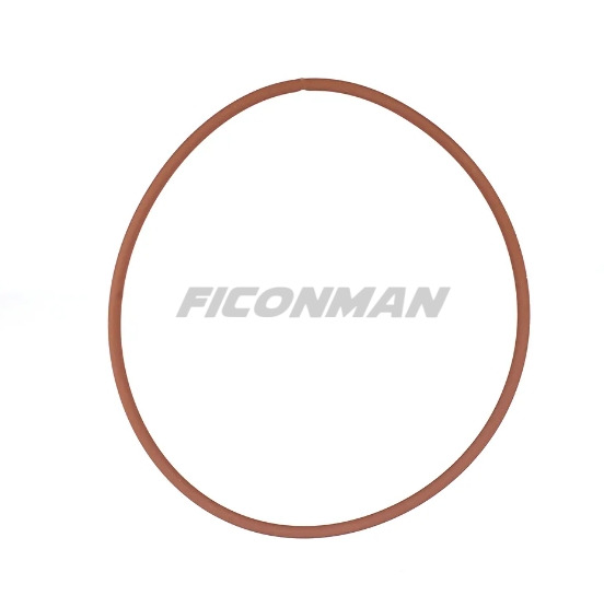 FPT IVECO Cursor8 Cursor9 F2BE0642A Water Pump Gasket 17291781 5001857980 - Pièces de rechange: photos 1 FPT IVECO Cursor8 Cursor9 F2BE0642A Water Pump Gasket 17291781 5001857980 - Pièces de rechange: photos 1